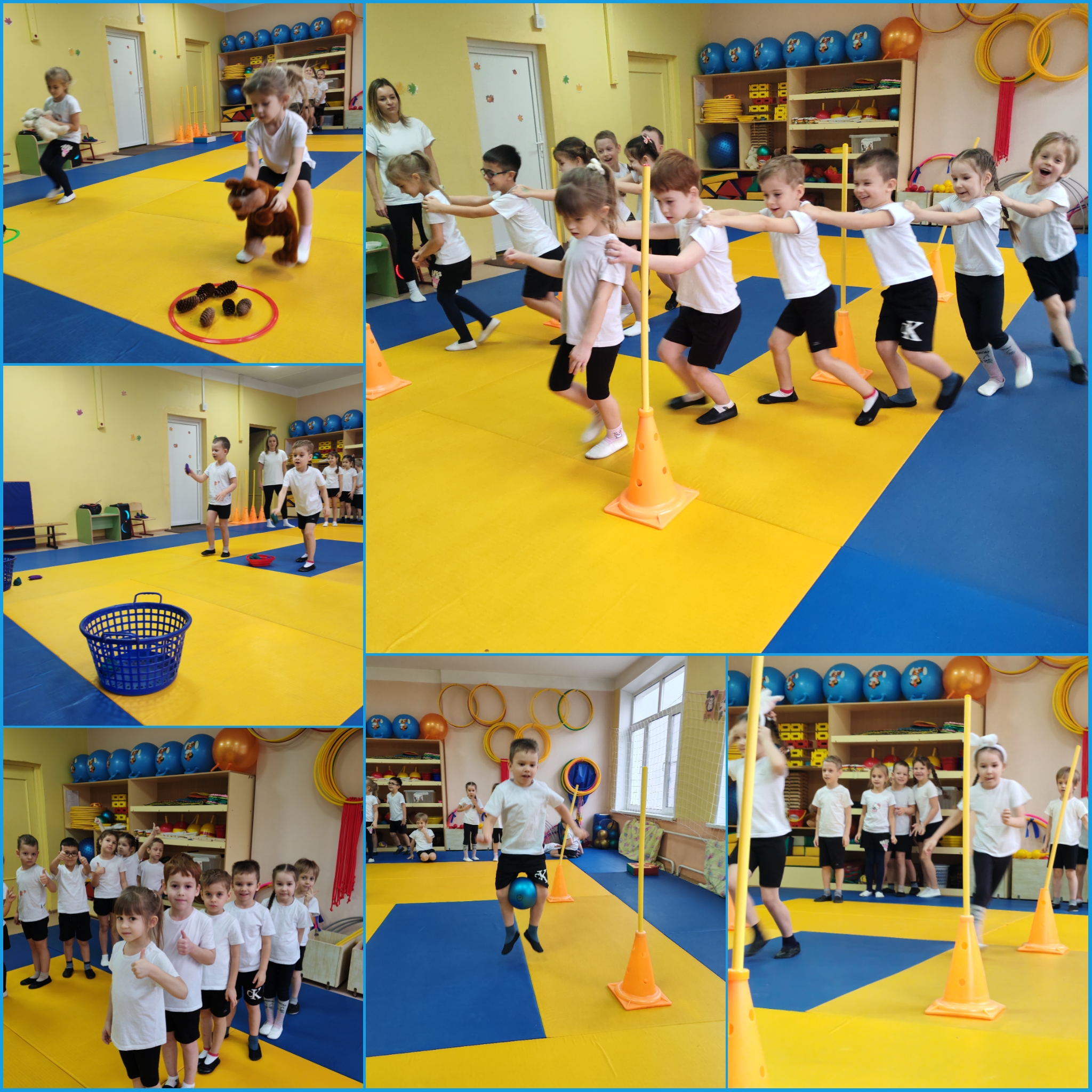 v mire givotnyh 10gr