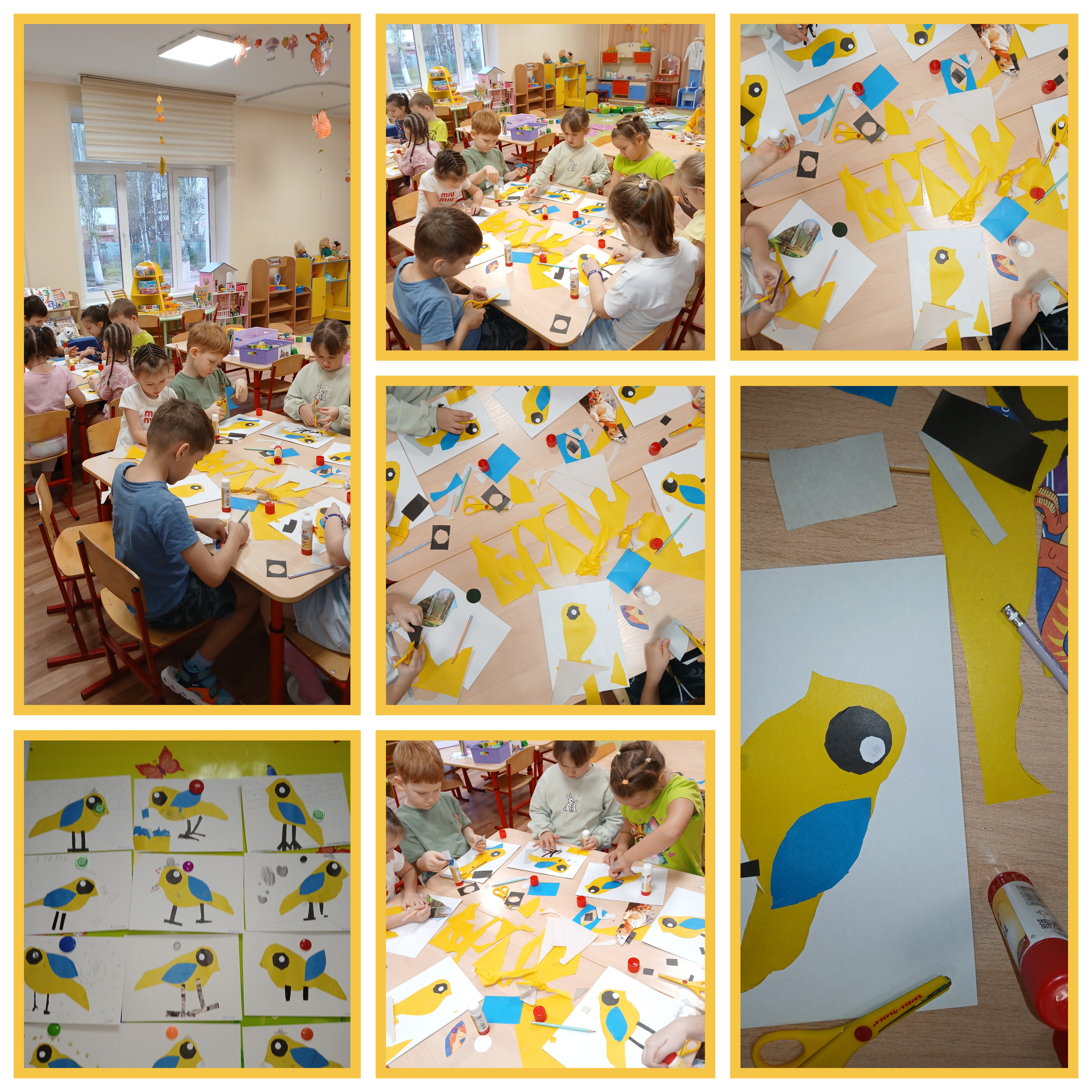 pticy applikaciya 3gr