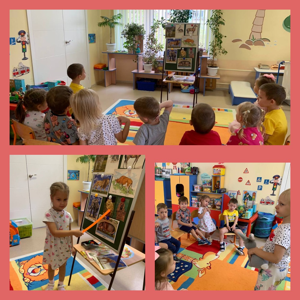 zacity givotnyh 11gr