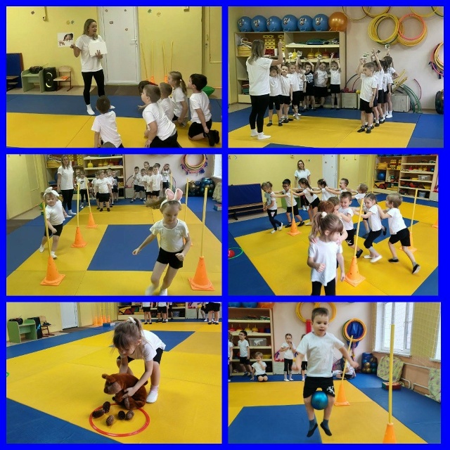 sportivnye zivotnye 2025